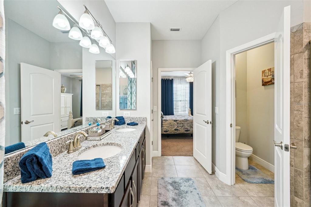 12627 Vander Way New Port Richey, FL 34654 - Photo 50 of 77 a en suite bathroom with a granite countertop tub and a large mirror