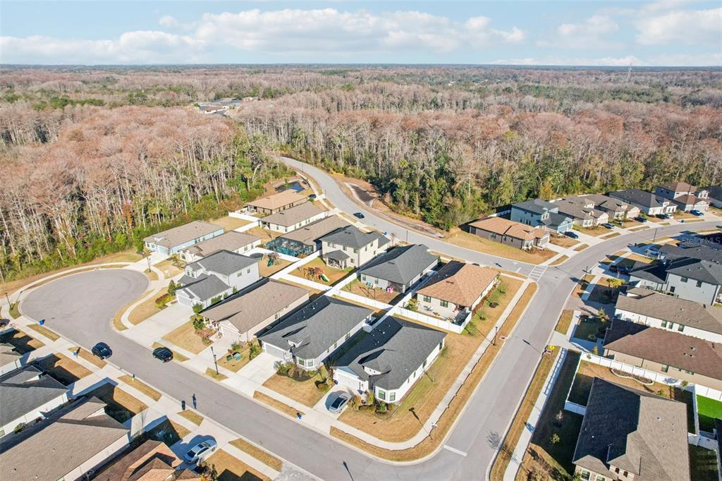 12627 Vander Way New Port Richey, FL 34654 - Photo 64 of 77