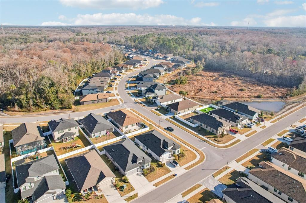 12627 Vander Way New Port Richey, FL 34654 - Photo 65 of 77