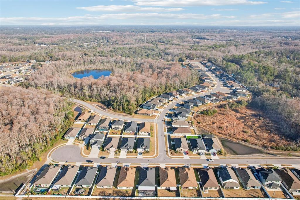 12627 Vander Way New Port Richey, FL 34654 - Photo 67 of 77