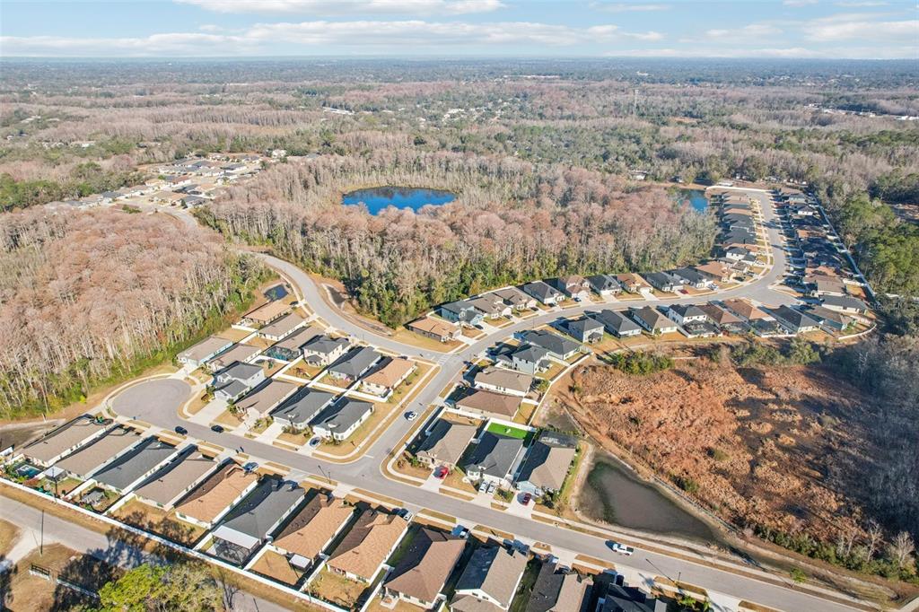 12627 Vander Way New Port Richey, FL 34654 - Photo 69 of 77