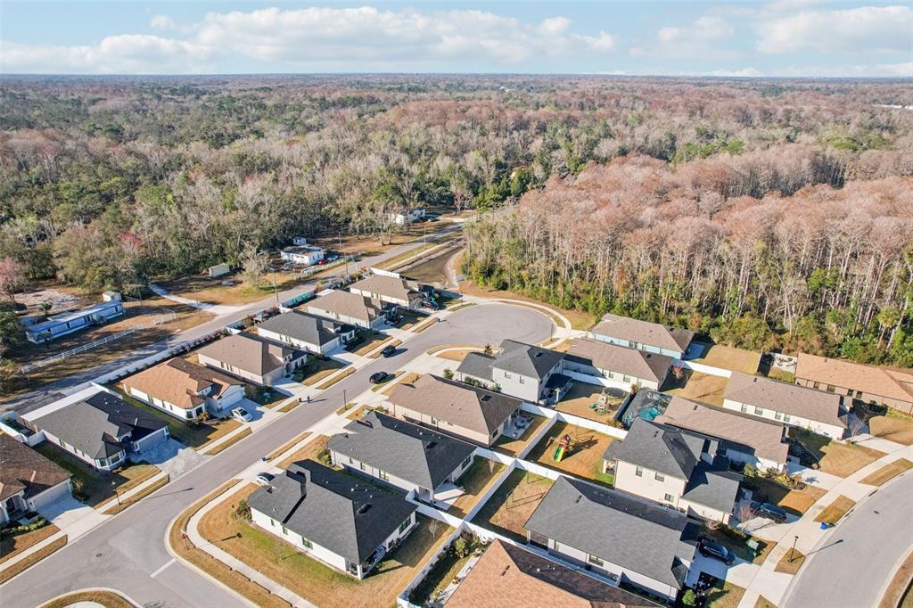 12627 Vander Way New Port Richey, FL 34654 - Photo 72 of 77 an aerial view of multiple house