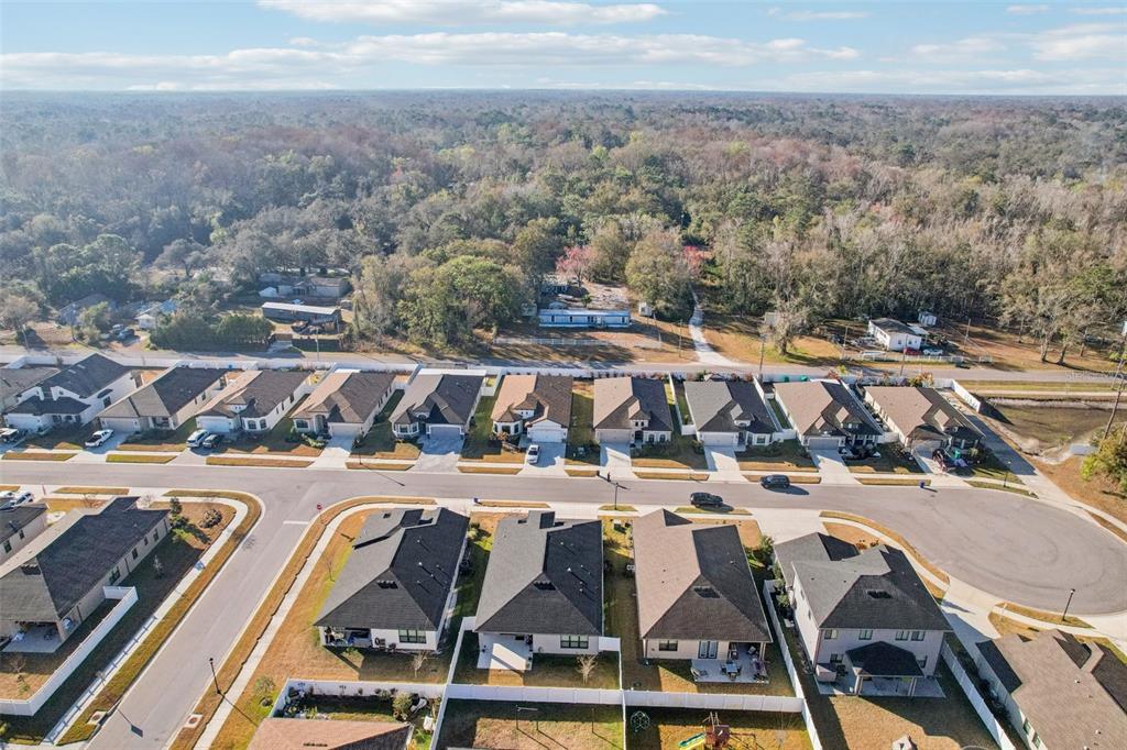 12627 Vander Way New Port Richey, FL 34654 - Photo 73 of 77 a view of a swimming pool with lawn chairs and plants