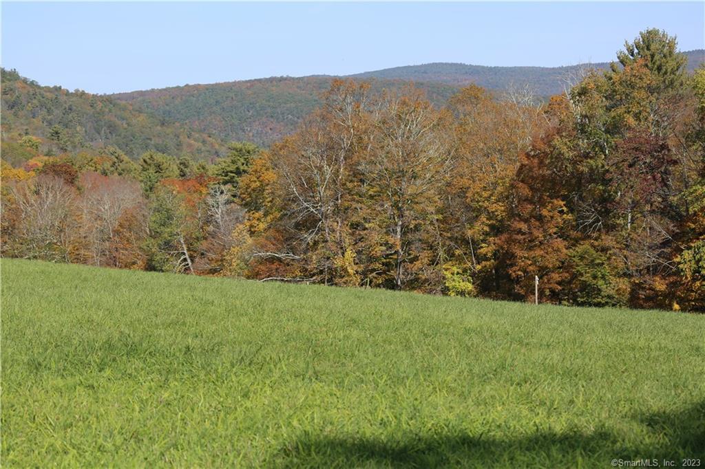 0 Music Mountain Road Falls Village, CT 06031 - Photo 1 of 1 a view of a lush green hillside and a mountain