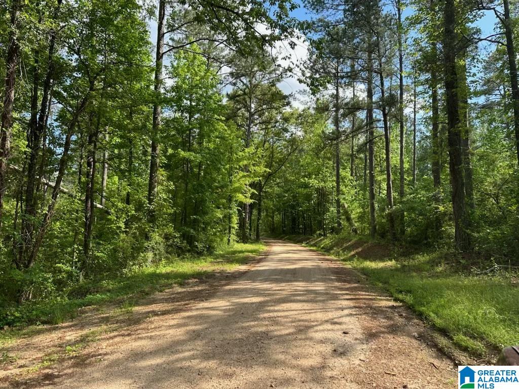 Fleming Road, Unit 1 Vincent, AL 35178 - Photo 7 of 10