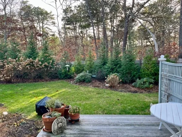 a view of a yard with furniture