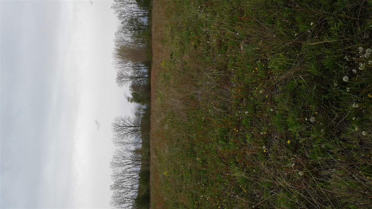 3099 South Duffield Road Lennon, MI 48449 - Photo 2 of 3