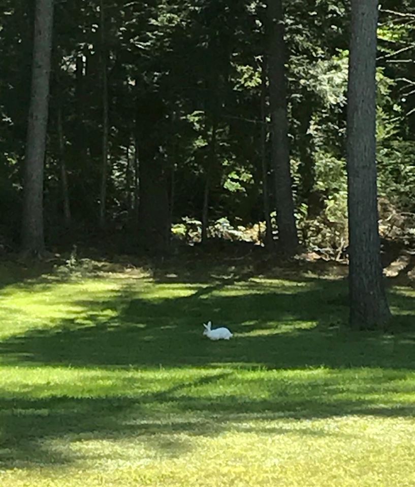 75 South Road Swanzey, NH 03446 - Photo 26 of 27 Gallery Image 26