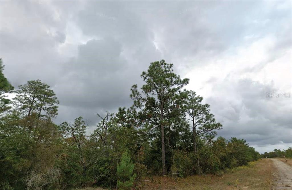 a backyard of a house