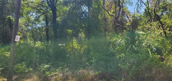 a view of a garden
