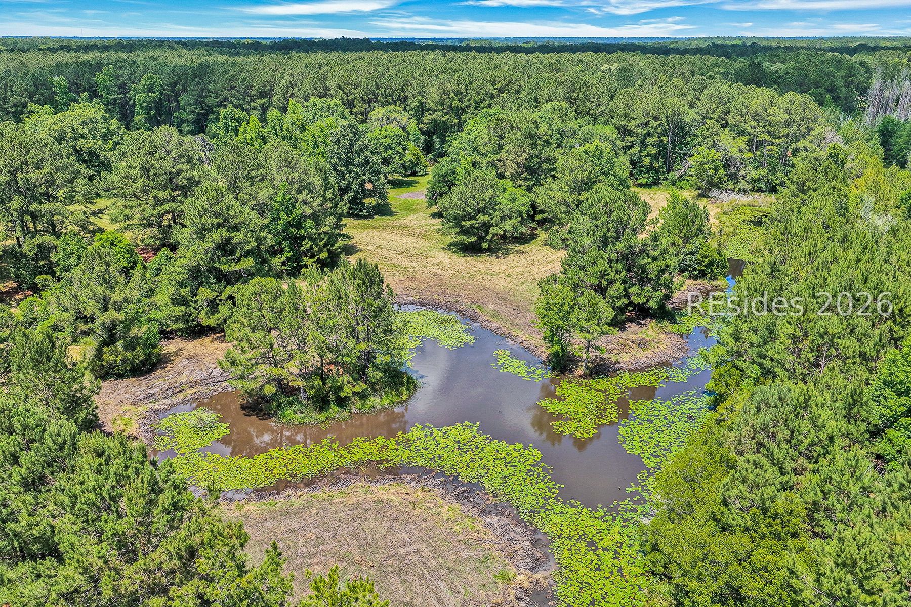7724 Bees Creek Road Ridgeland, SC 29936 - Photo 78 of 82 Stocked Pond at Back of Property