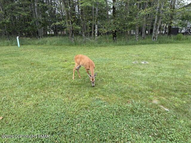 8940 Deerfield Road Tobyhanna, PA 18466 - Photo 39 of 39 IMG_1570
