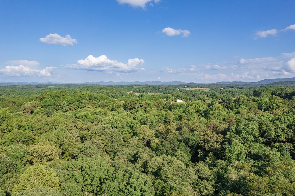 270 Stone Lane Blue Ridge, GA 30513 - Photo 62 of 76