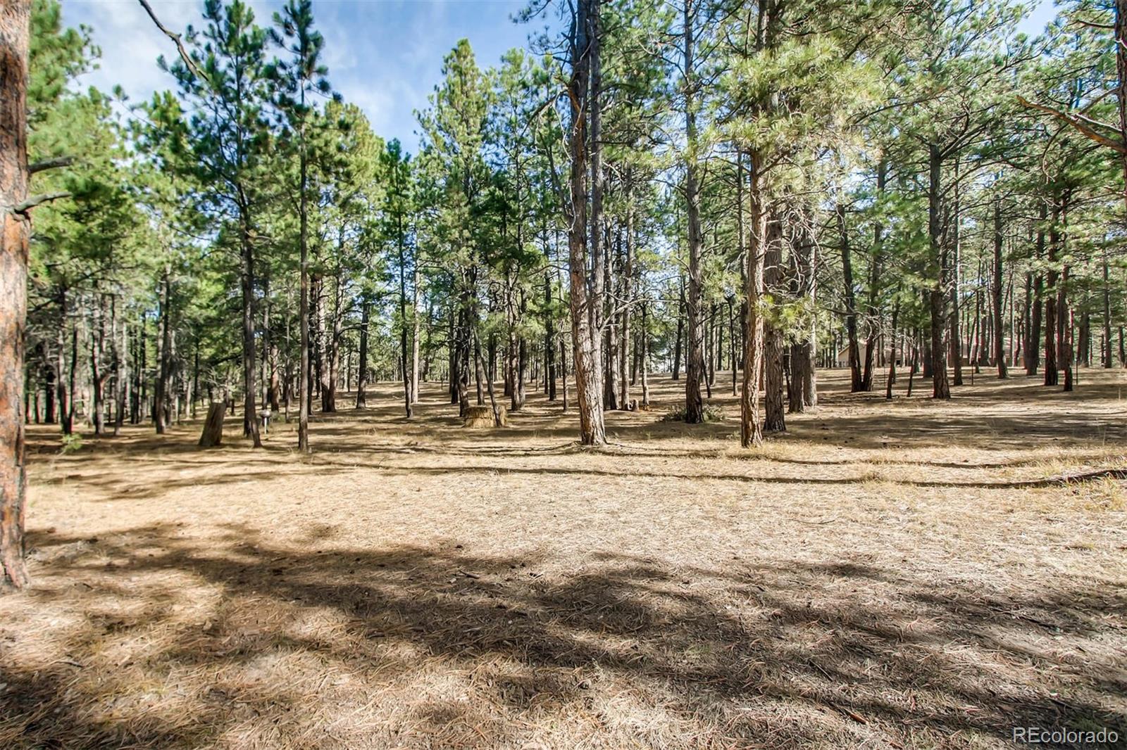 10920 Hardy Road Colorado Springs, CO 80908 - Photo 3 of 11 a view of a house with a trees