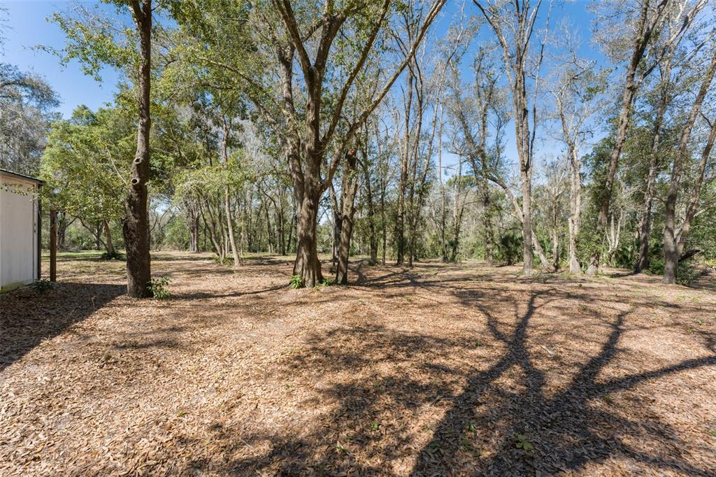 22126 Quale Grove Road Eustis, FL 32736 - Photo 64 of 77