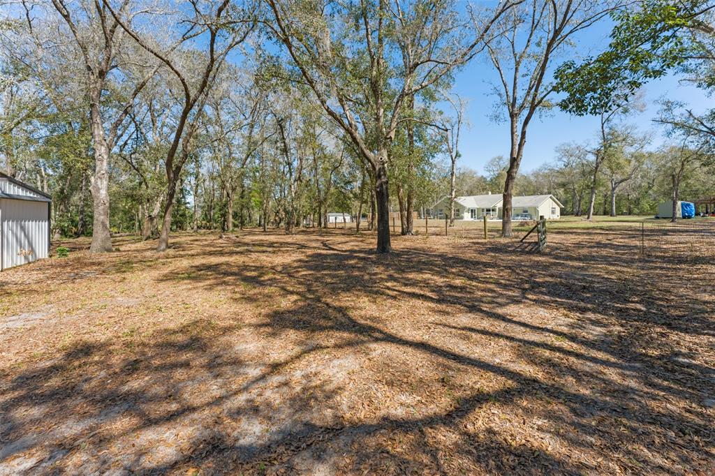 22126 Quale Grove Road Eustis, FL 32736 - Photo 66 of 77