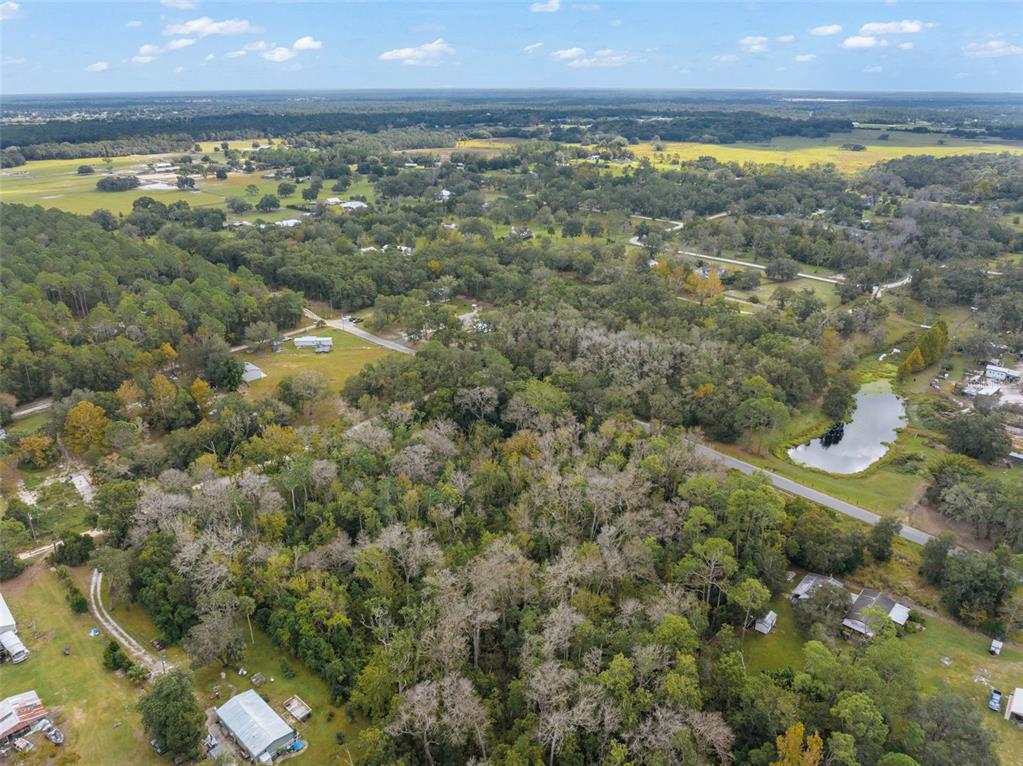 22126 Quale Grove Road Eustis, FL 32736 - Photo 70 of 77