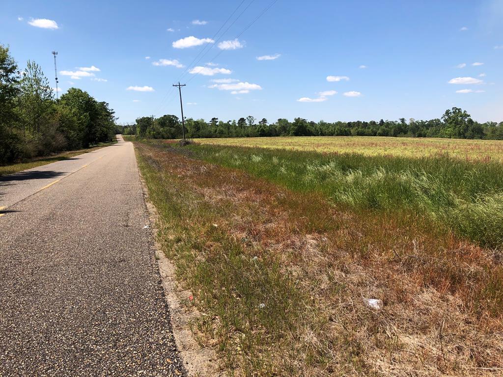0 County Road, Unit 5 Pansey, AL 36370 - Photo 1 of 1