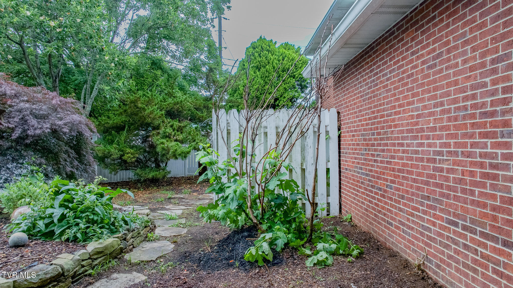 146 El Bowers Road Elizabethton, TN 37643 - Photo 37 of 40 dji_fly_20260609_155958_0195_17810351818