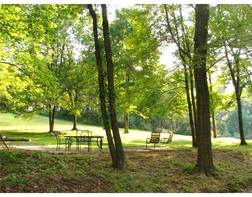 2478 Rochester Road Franklin Park, PA 15143 - Photo 5 of 18 Yard/Garden. Ample Yard for Recreation or Play.