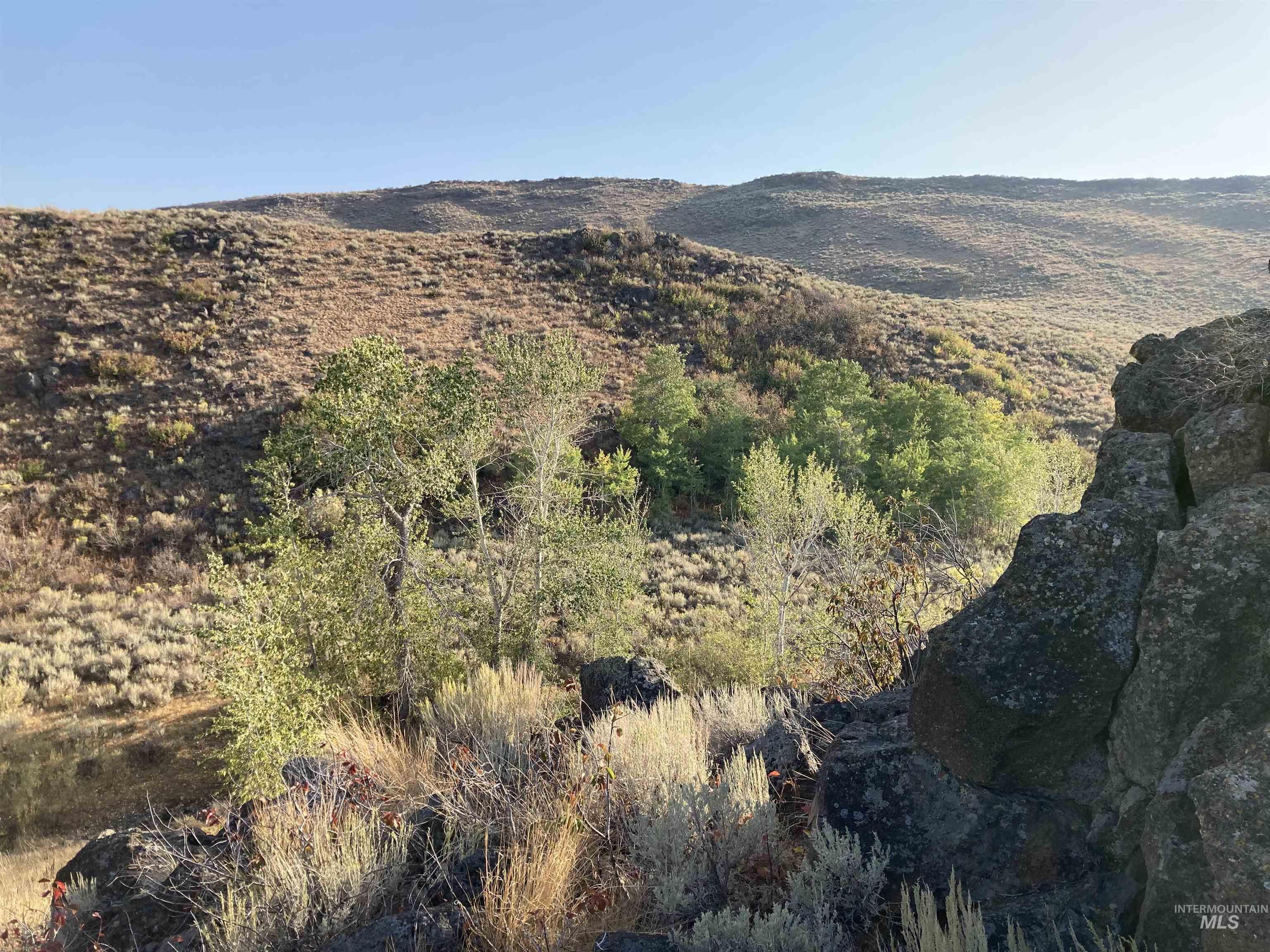 Poison Creek Road Bellevue, ID 83313 - Photo 1 of 18 Gallery Image 1