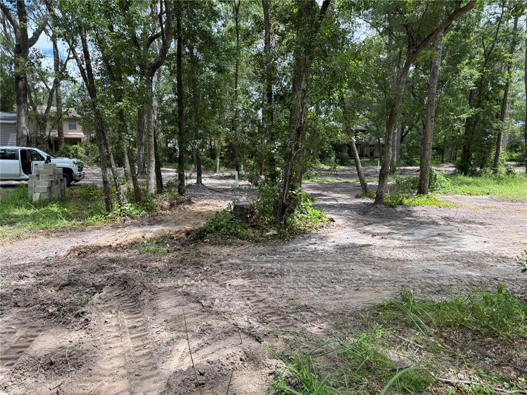 Tbd Waldo, FL 32694 - Photo 3 of 17