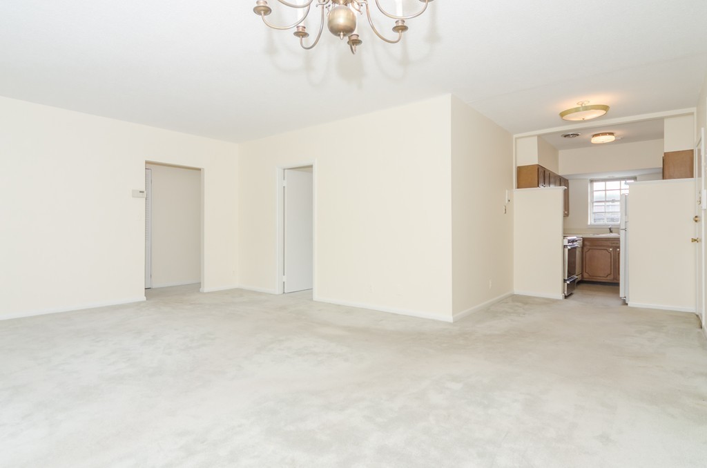 207 Lake Shore Road, Unit 3 Boston, MA 02135 - Photo 9 of 13