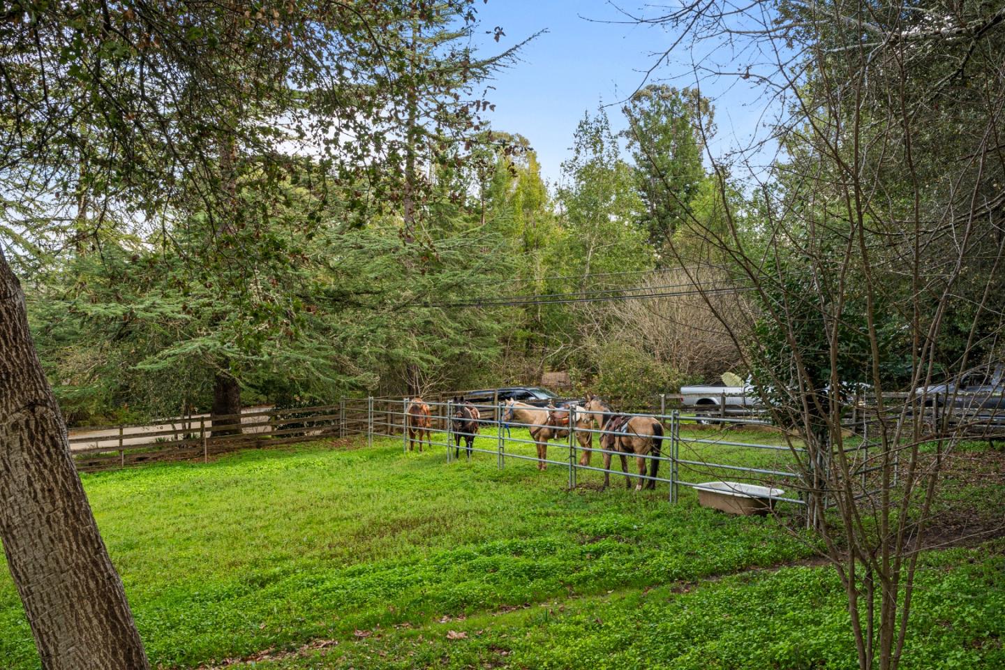180 Phillip Road Woodside, CA 94062 - Photo 4 of 4