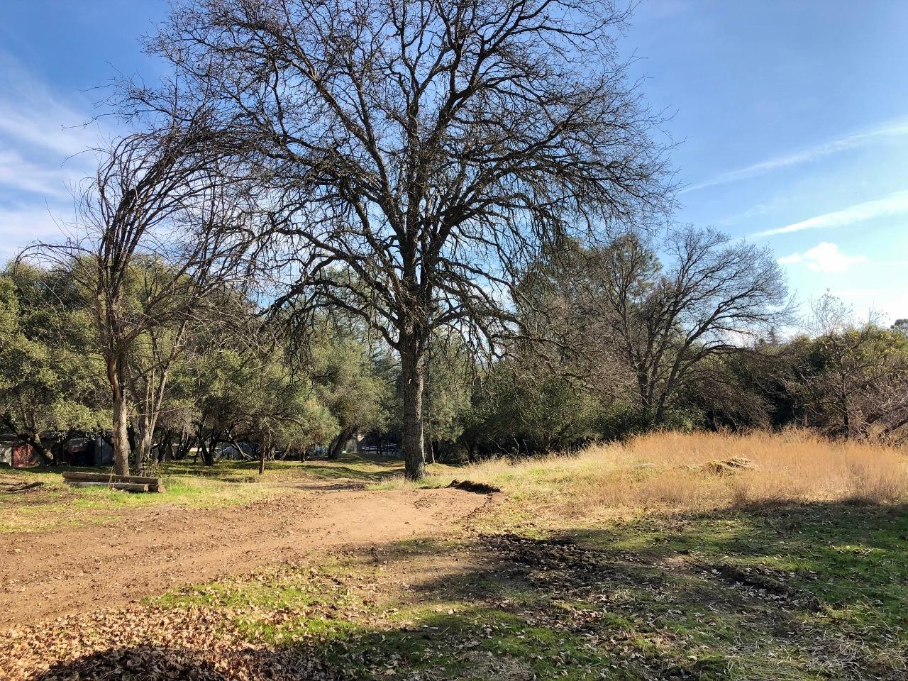31383 Apache Road Coarsegold, CA 93614 - Photo 12 of 34 Gallery Image 12