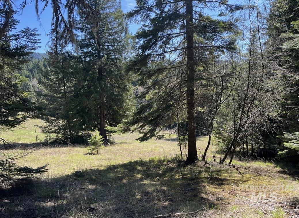 936 Red Fir Road Kooskia, ID 83539 - Photo 21 of 29