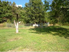 243 Short Coal Chute Road Elizabethton, TN 37643 - Photo 4 of 5 dog lot