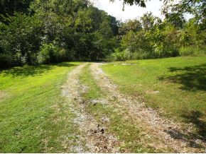 243 Short Coal Chute Road Elizabethton, TN 37643 - Photo 5 of 5 driveway