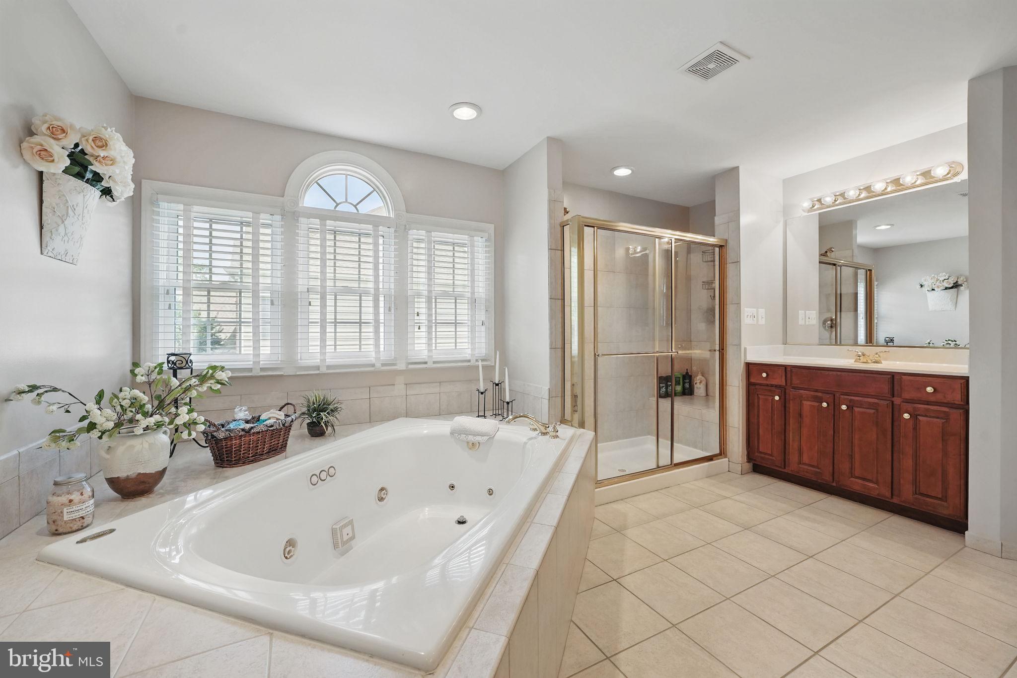 40755 Lenah Run Circle Aldie, VA 20105 - Photo 17 of 37 a bathroom with a tub sink and mirror
