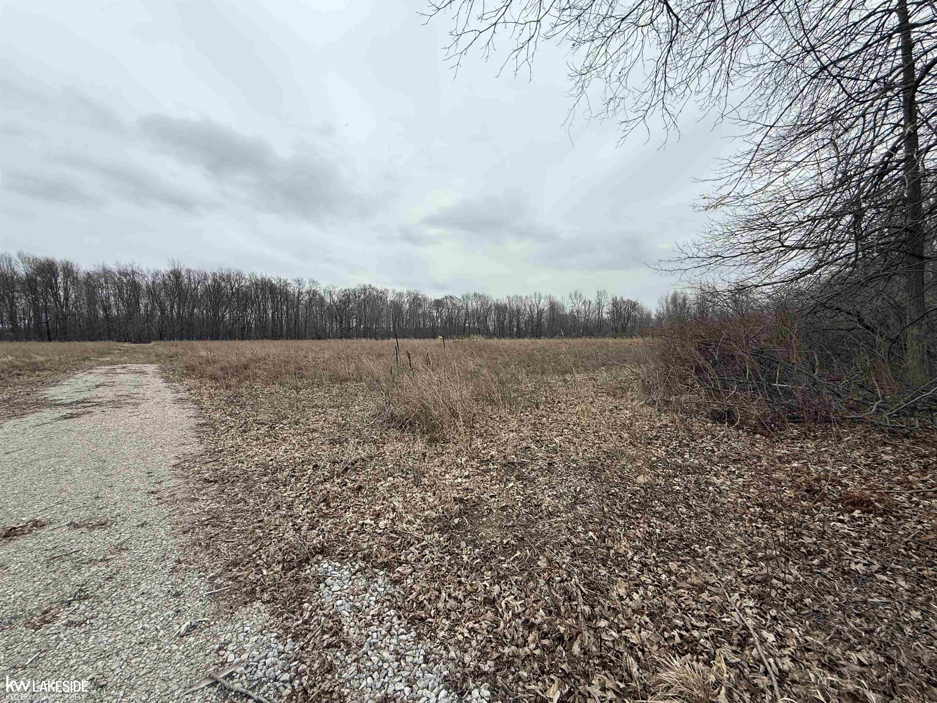 0 Cove Road Goodells, MI 48027 - Photo 6 of 25
