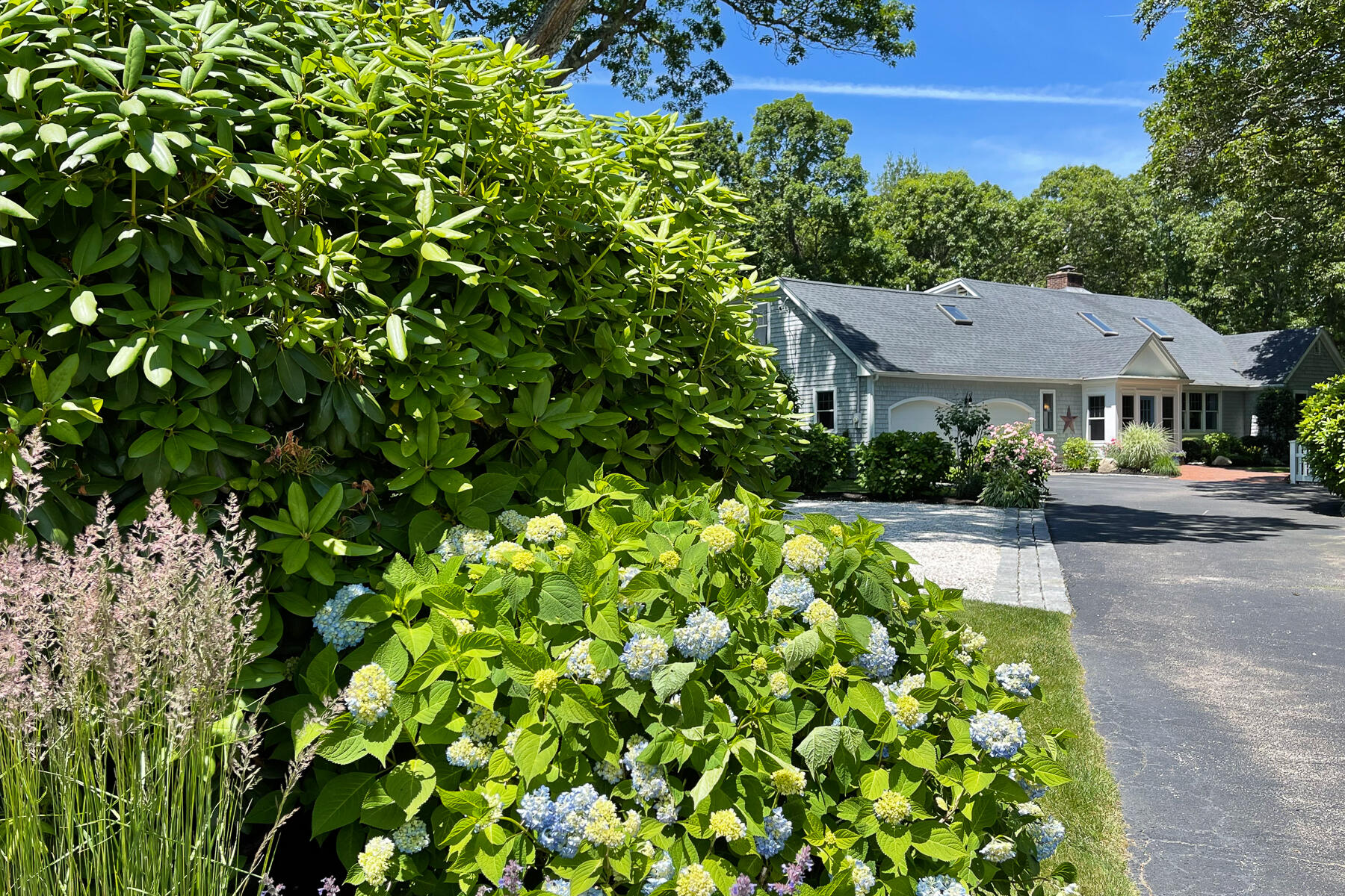 106 Scraggy Neck Road Cataumet, MA 02534 - Photo 29 of 43 a view of a garden with plants and large trees