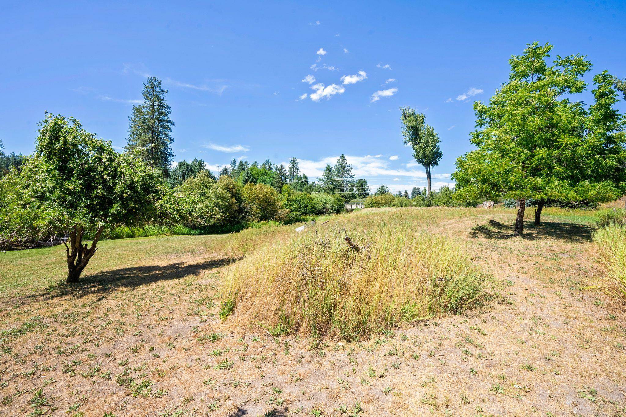 2406 East Colbert Road Colbert, WA 99005 - Photo 28 of 48