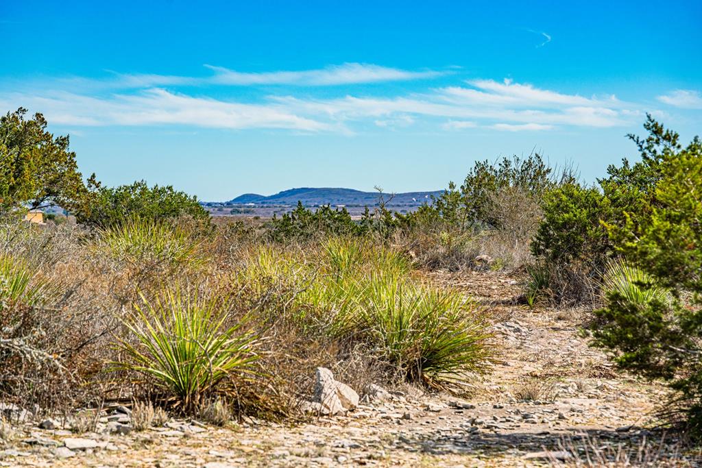 113 County Road 429B Uvalde, TX 78801 - Photo 13 of 13 a view of lake with mountain