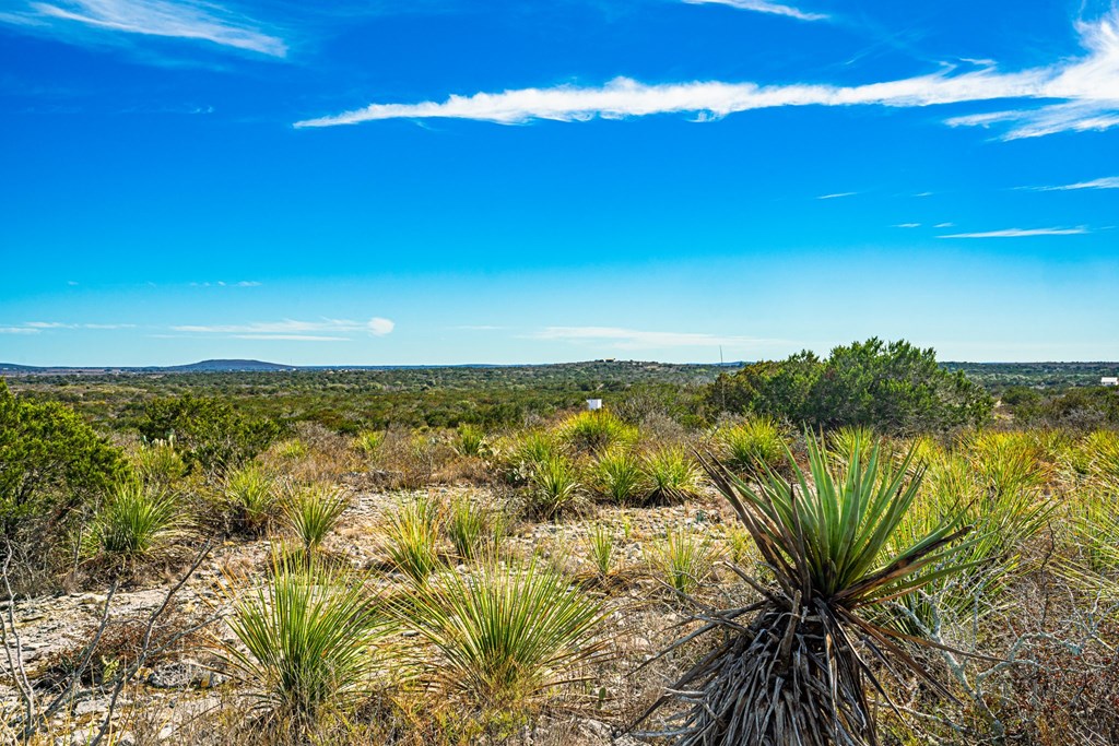 113 County Road 429B Uvalde, TX 78801 - Photo 3 of 13 a view of a city