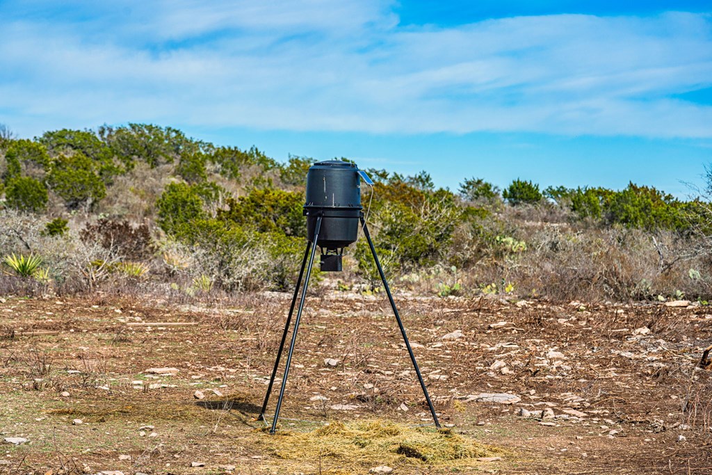 113 County Road 429B Uvalde, TX 78801 - Photo 4 of 13 a view of a yard