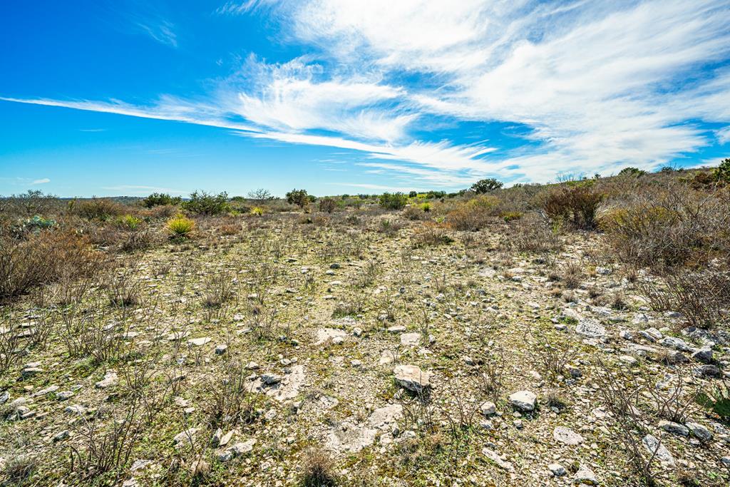 113 County Road 429B Uvalde, TX 78801 - Photo 6 of 13 a view of a city