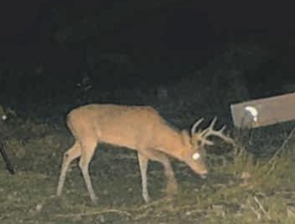 113 County Road 429B Uvalde, TX 78801 - Photo 7 of 13 a balcony with table and chairs