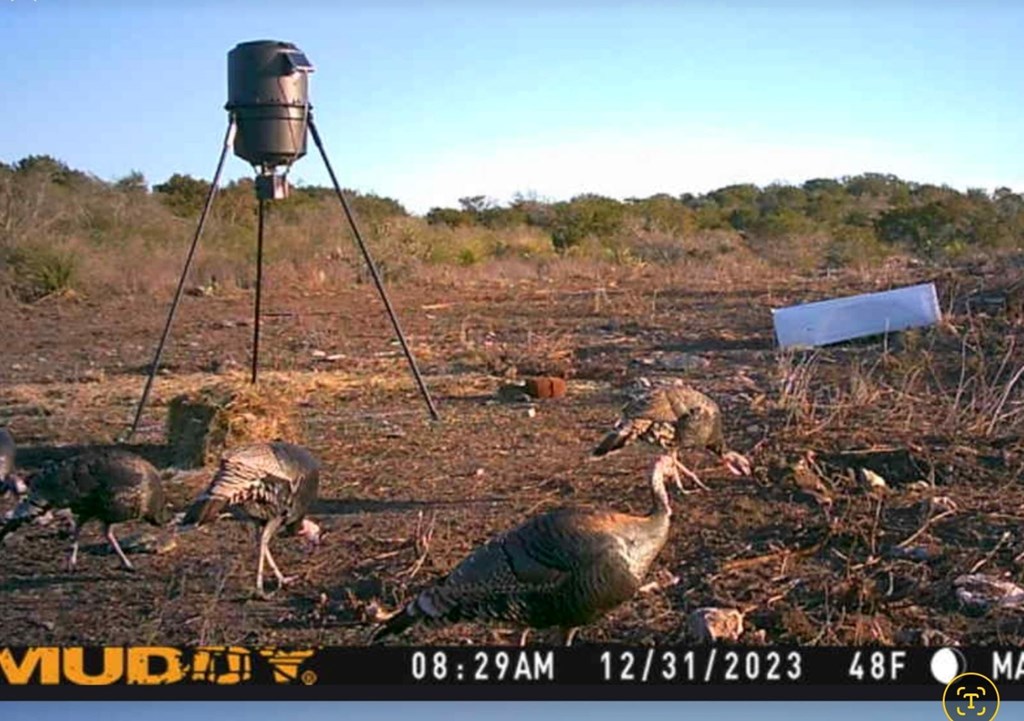 113 County Road 429B Uvalde, TX 78801 - Photo 8 of 13