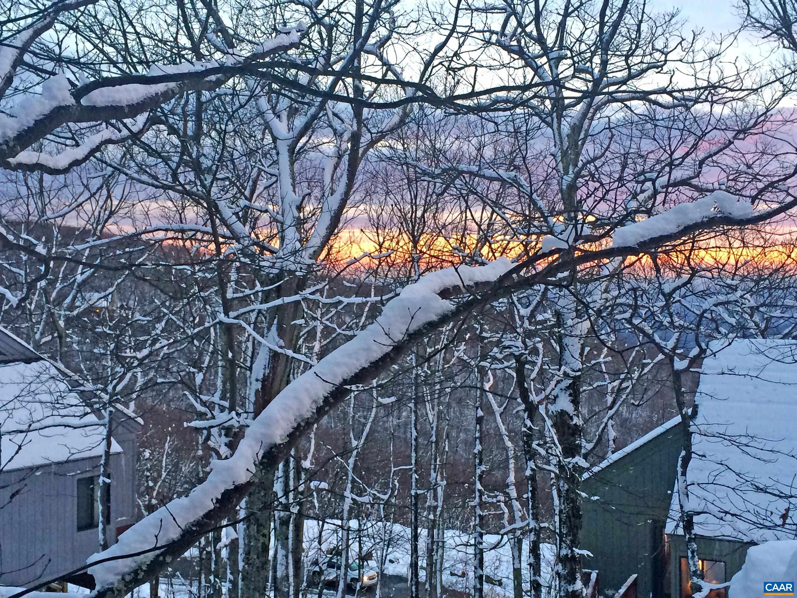 15 Shagbark Lane Roseland, VA 22967 - Photo 17 of 41 a backyard of a house with large trees and outdoor seating