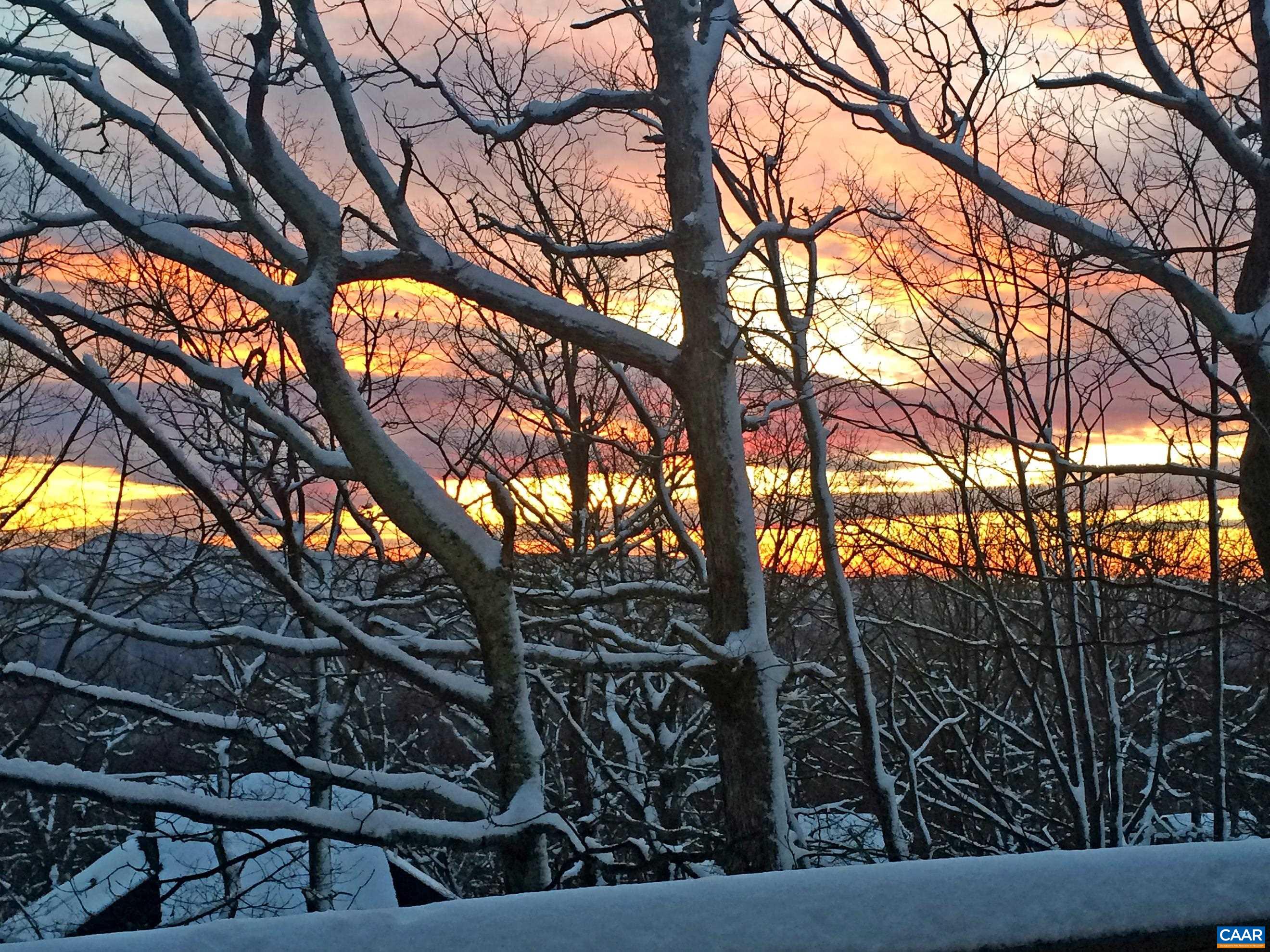15 Shagbark Lane Roseland, VA 22967 - Photo 22 of 41 a view of tree