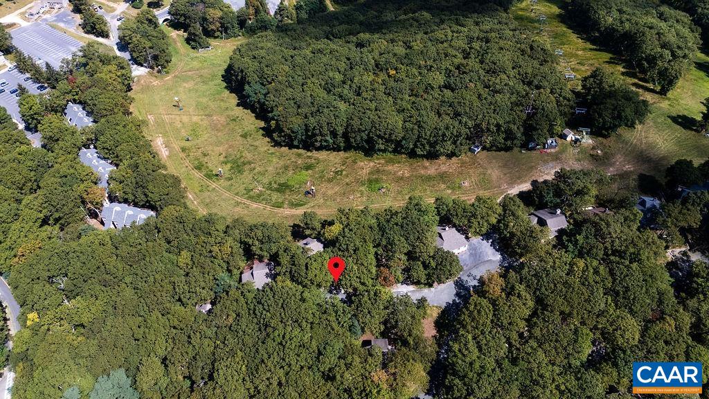 15 Shagbark Lane Roseland, VA 22967 - Photo 33 of 41 a view of a garden with plants