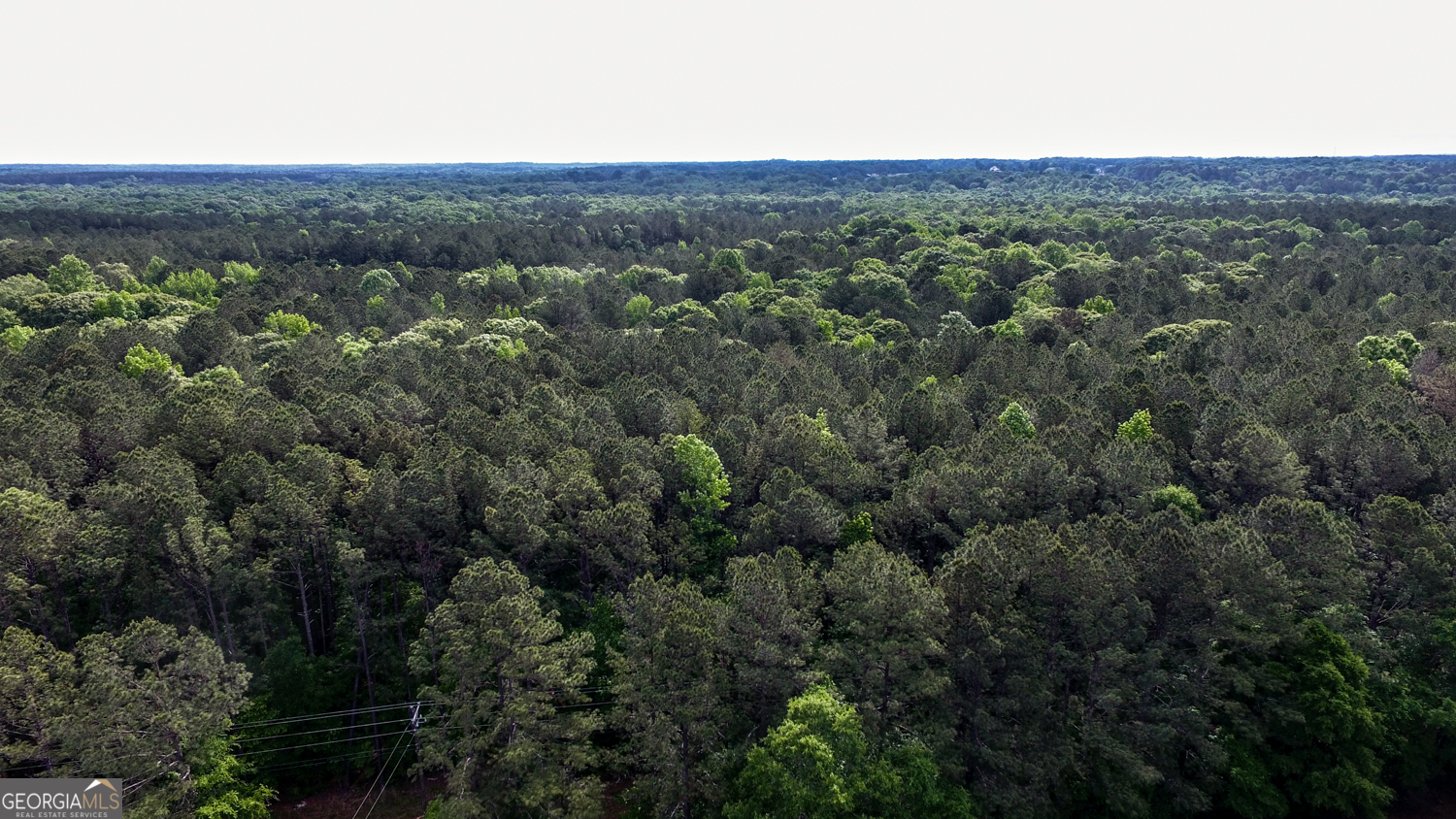 428 Padgett Road Senoia, GA 30276 - Photo 16 of 18