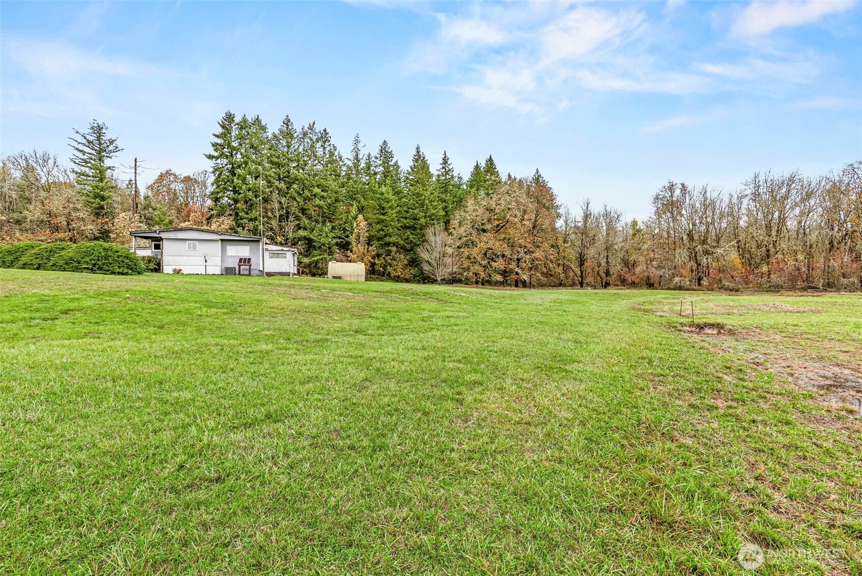 301 Henriot Road Toledo, WA 98591 - Photo 12 of 31 a view of a field with trees in the background