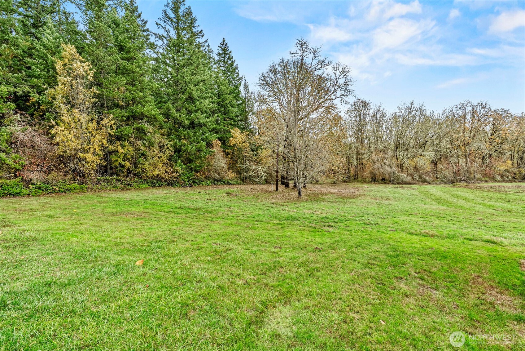 301 Henriot Road Toledo, WA 98591 - Photo 14 of 31 a view of a green field