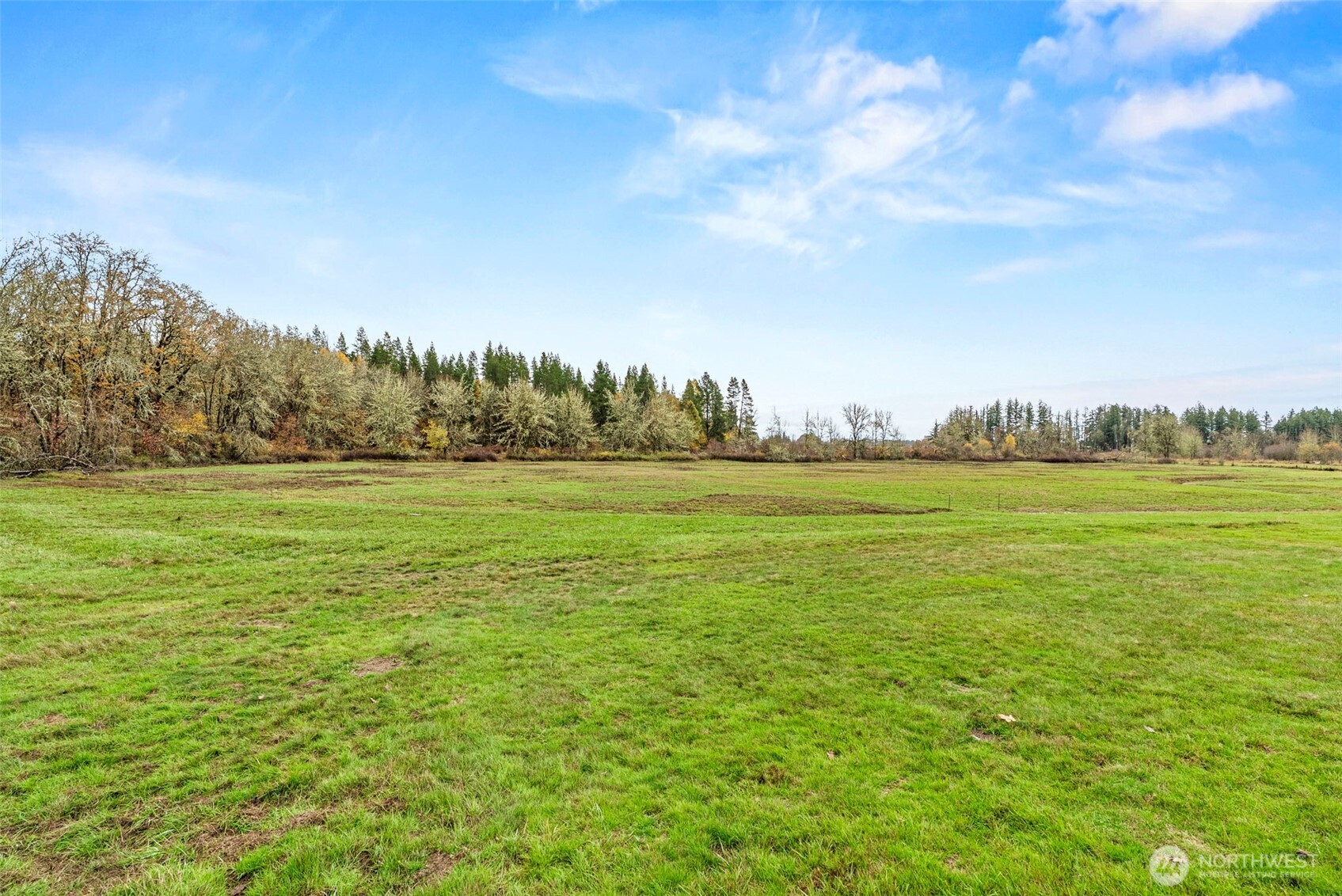 301 Henriot Road Toledo, WA 98591 - Photo 15 of 31 a view of a field with an ocean