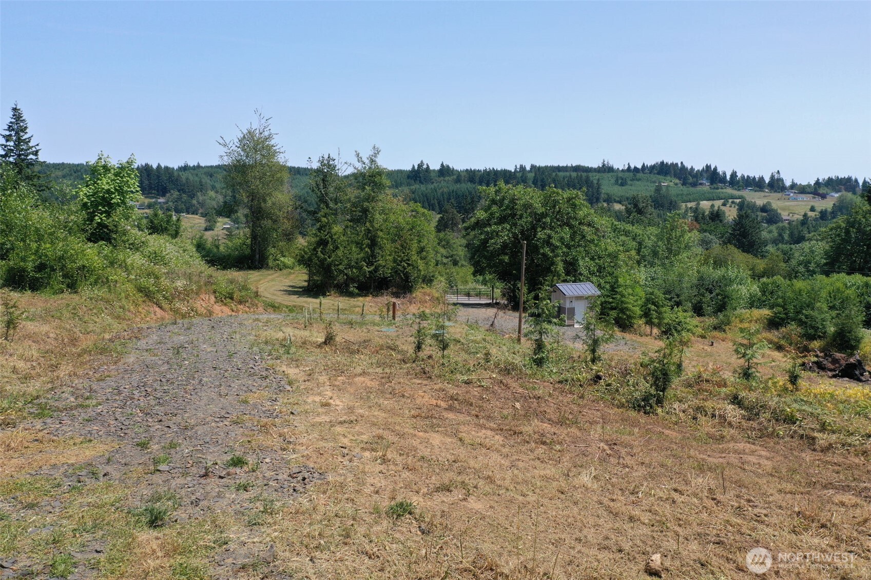 215 Sanderson Road Chehalis, WA 98532 - Photo 11 of 17 a view of a forest with trees in the background